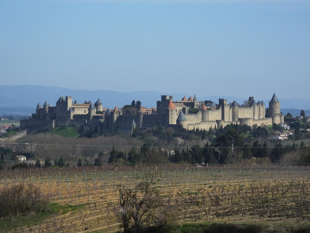 Languedoc flowing with wine – image 4