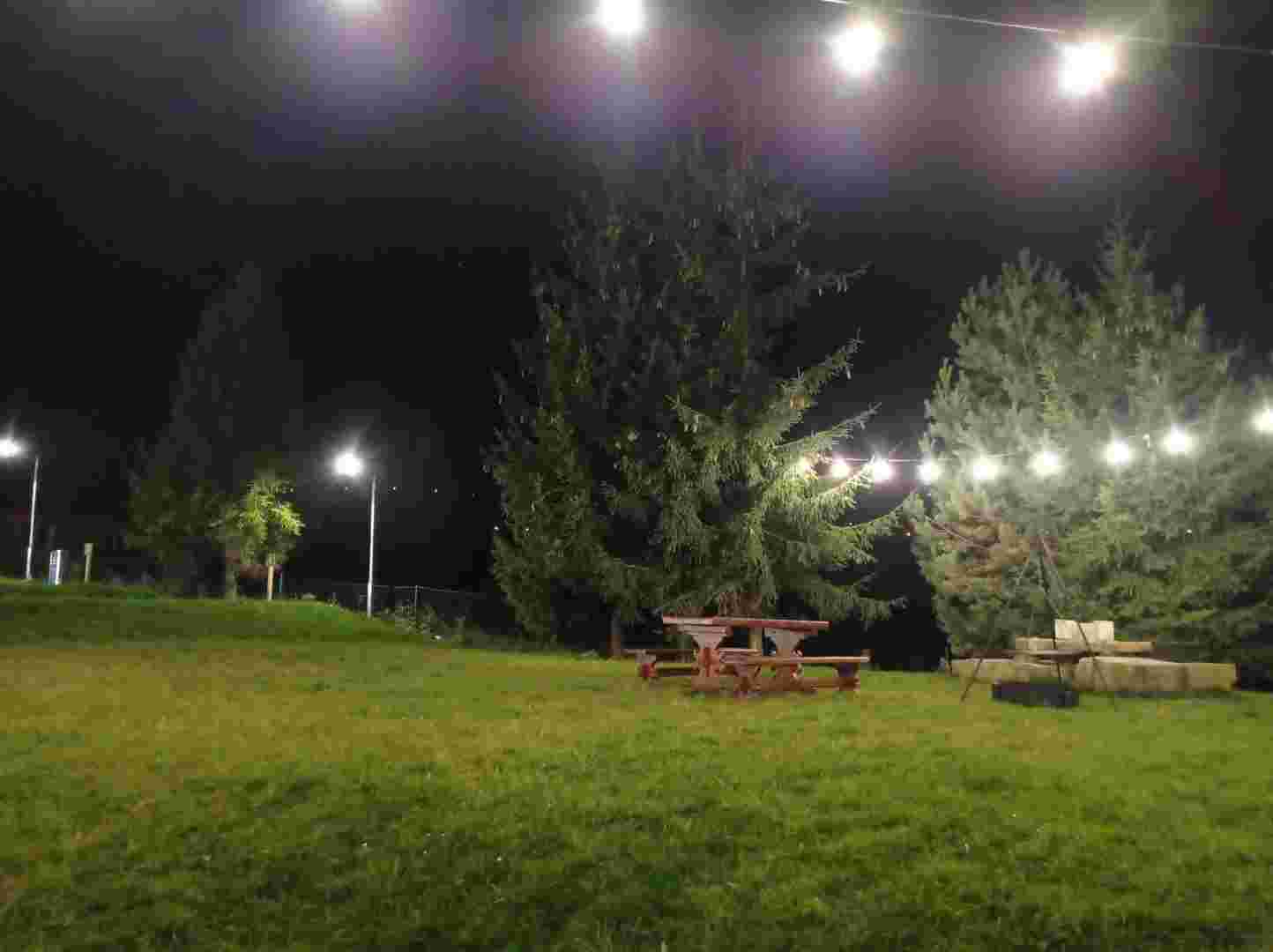 zdjęcie 9