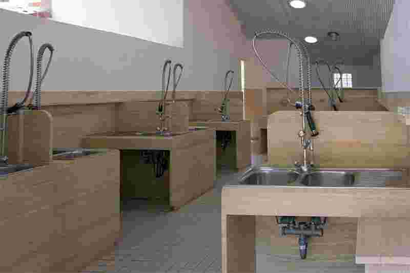 image 29