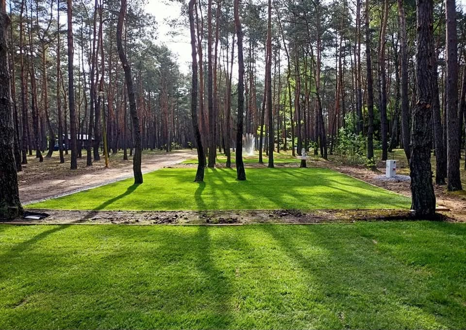 zdjęcie 1