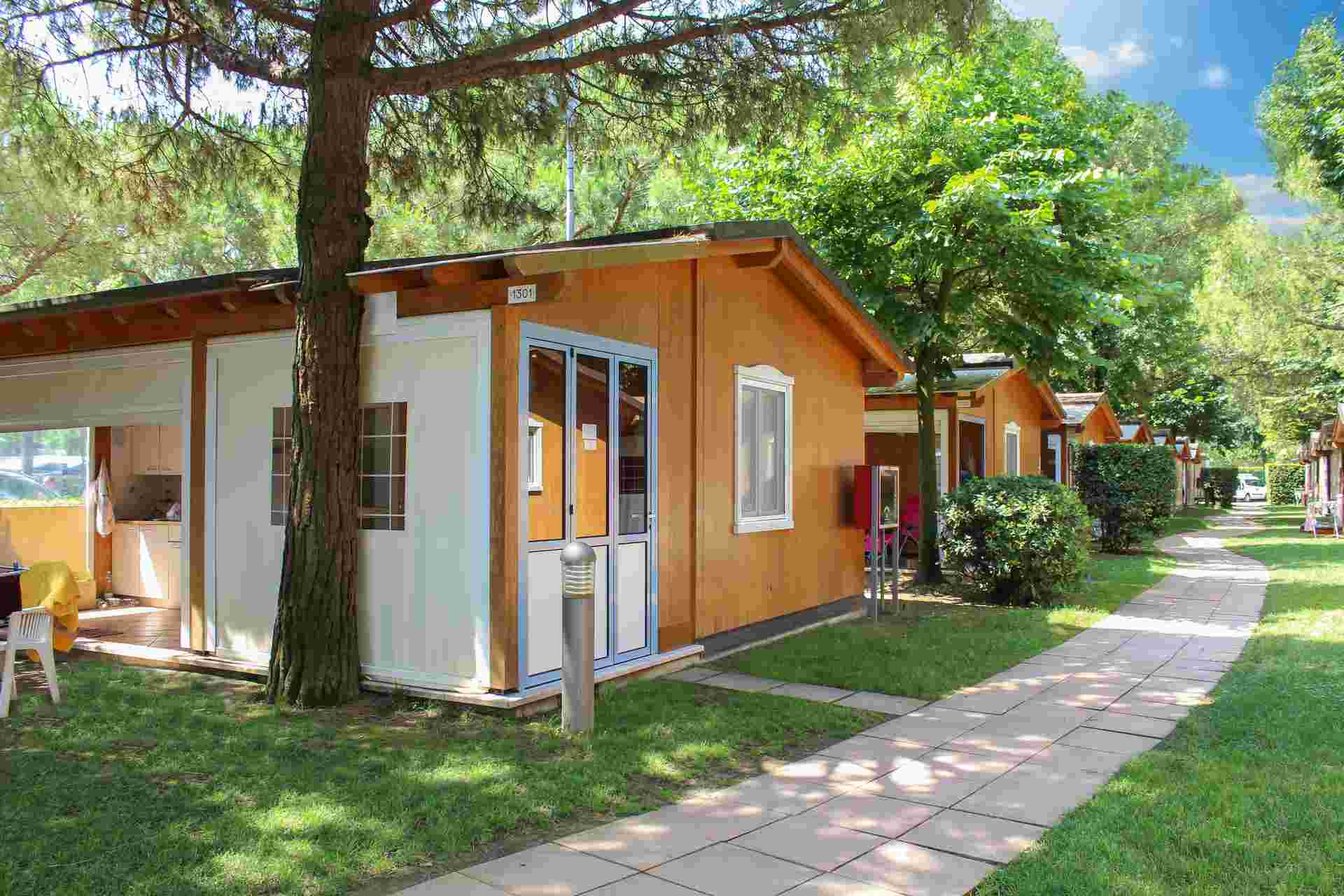 zdjęcie 25