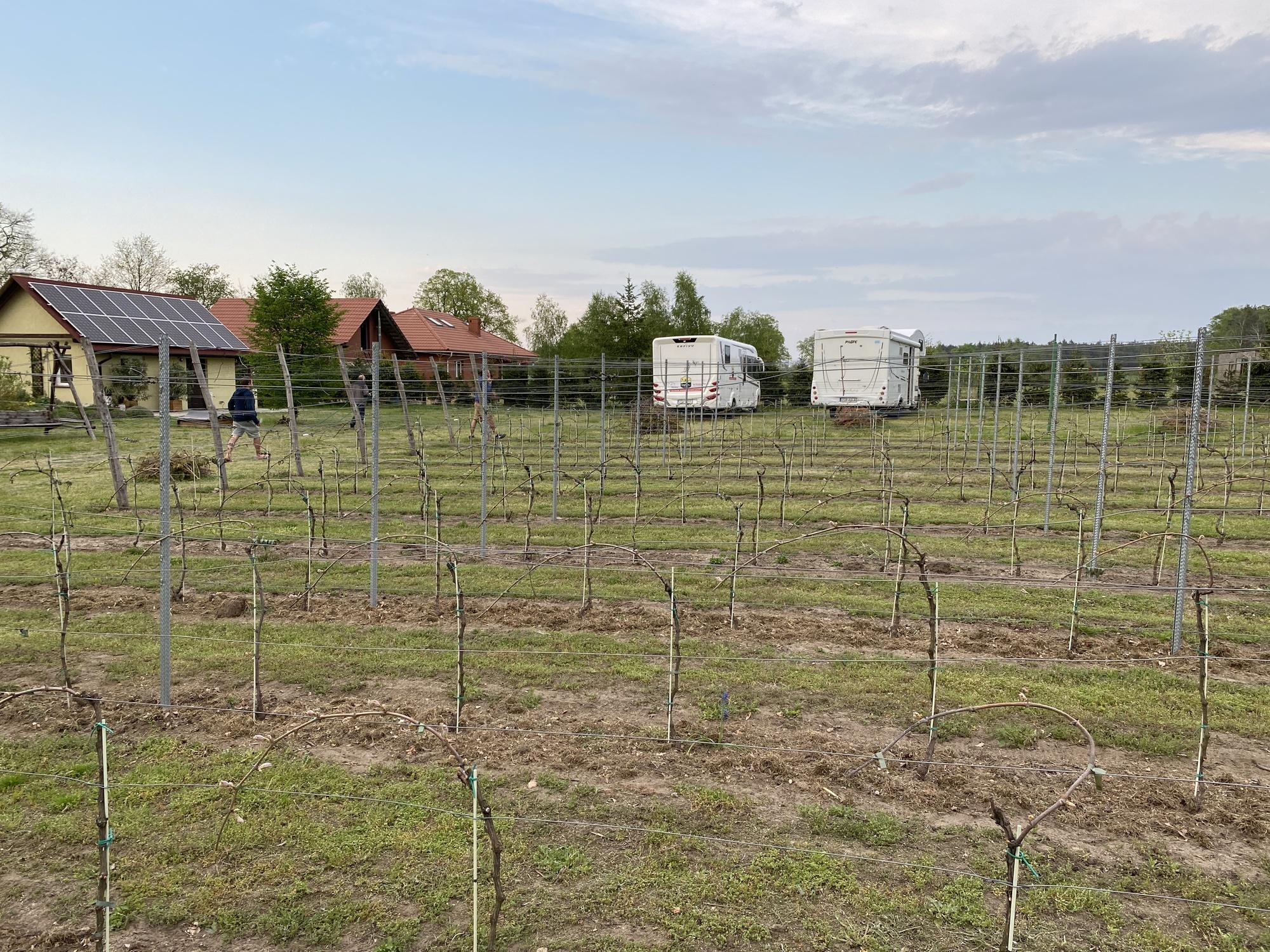 8 tips for getting ready for a campervan stop at a vineyard – image 3