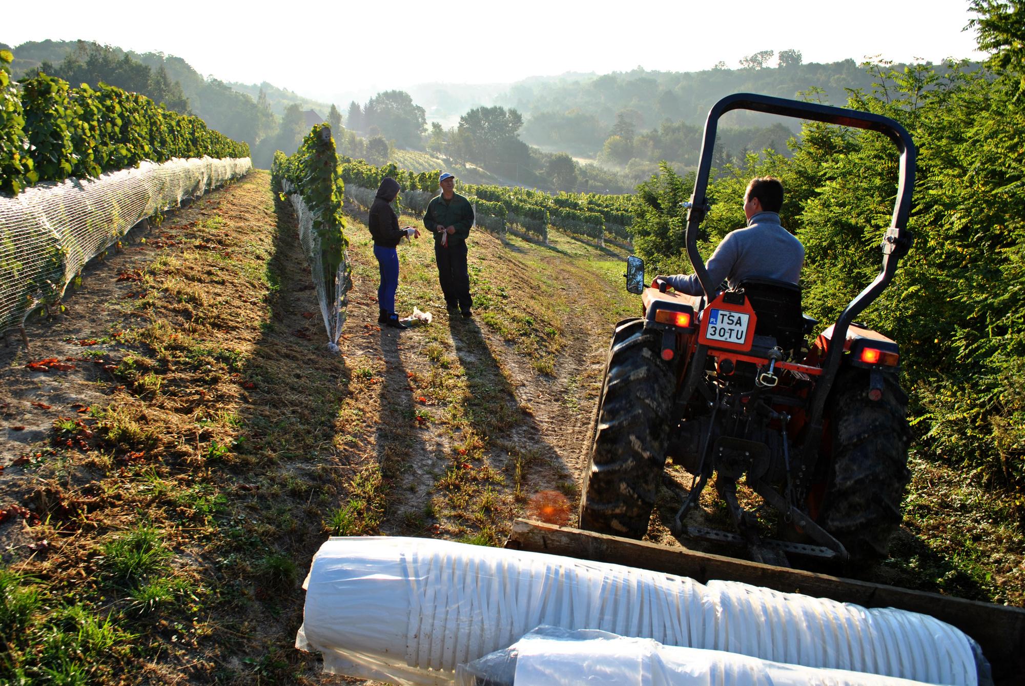 8 tips for getting ready for a campervan stop at a vineyard – image 2