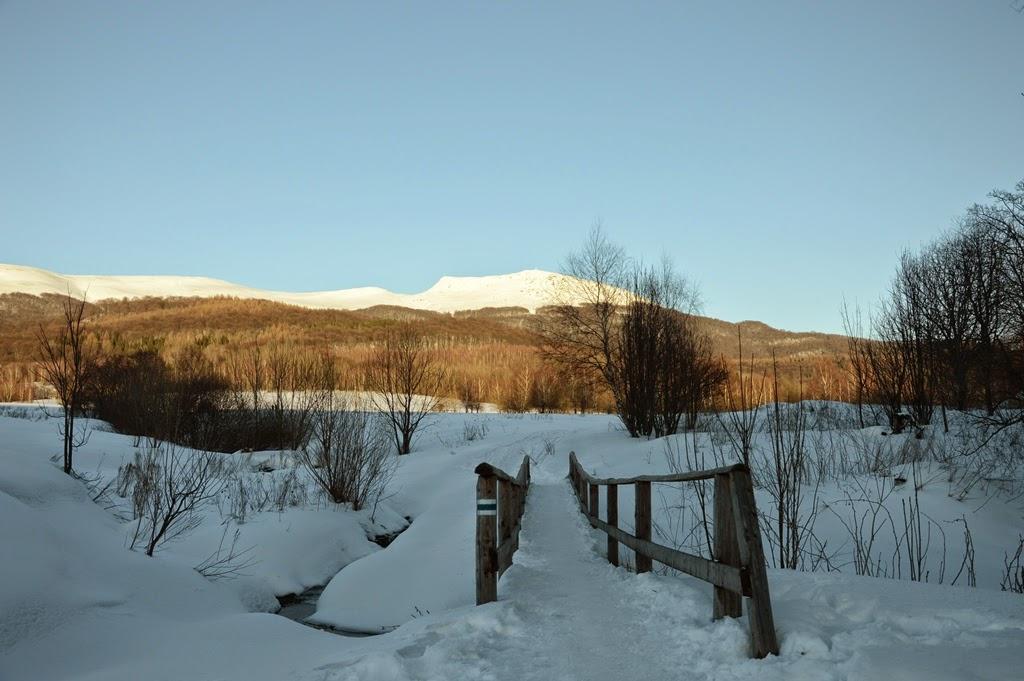 POMYSŁ NA WEEKEND - Bieszczady – zdjęcie 3