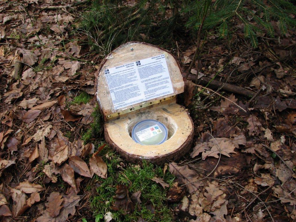 Jak urozmaicić podróże? Geocaching jest na pewno warty uwagi – zdjęcie 1