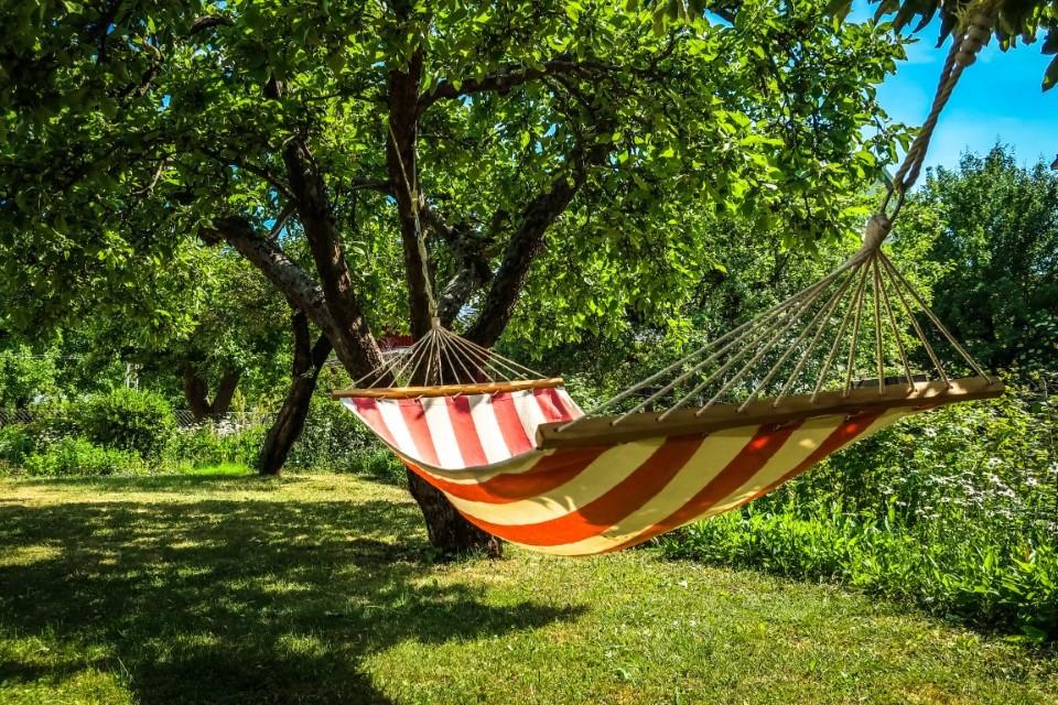 Relaxing at the campsite - we choose a hammock – image 1