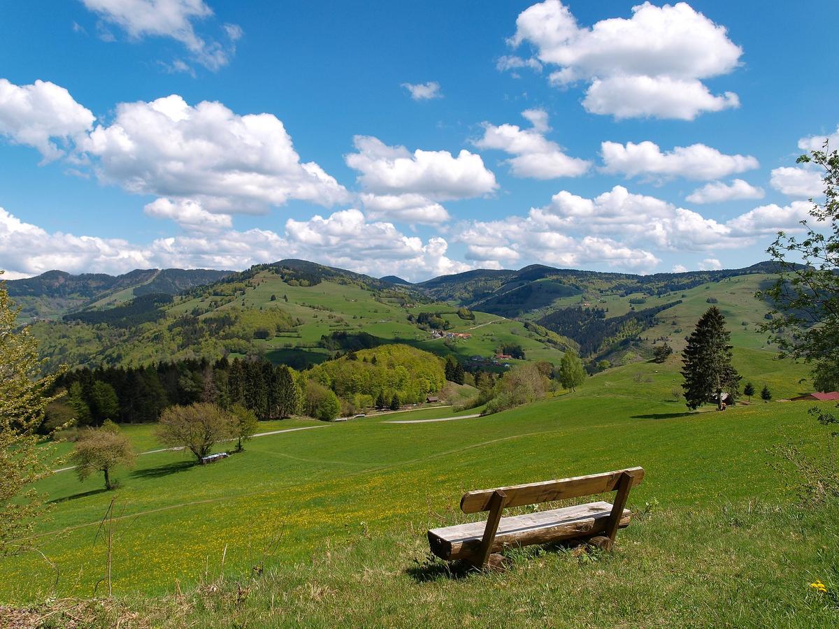 The charms of the Black Forest – image 1