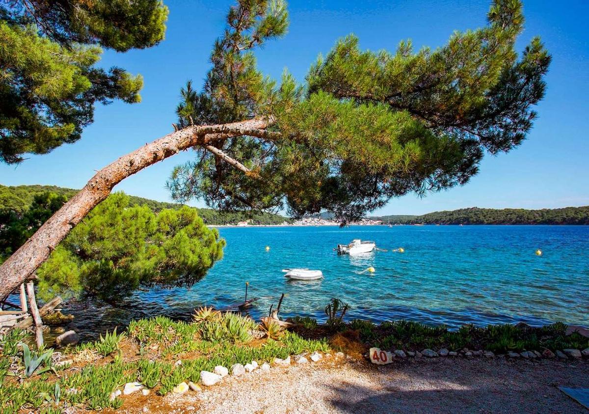 Mali Lošinj – perła Archipelagu Kvarnerskiego – zdjęcie 1