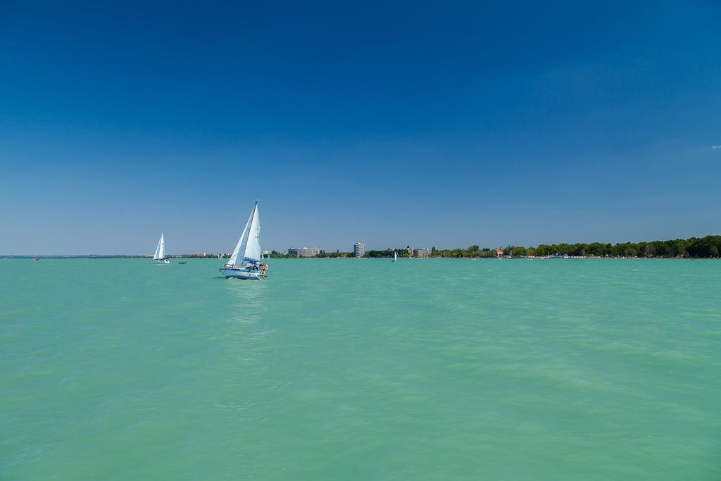 Ptaki i ludzie kochają Balaton! – zdjęcie 1