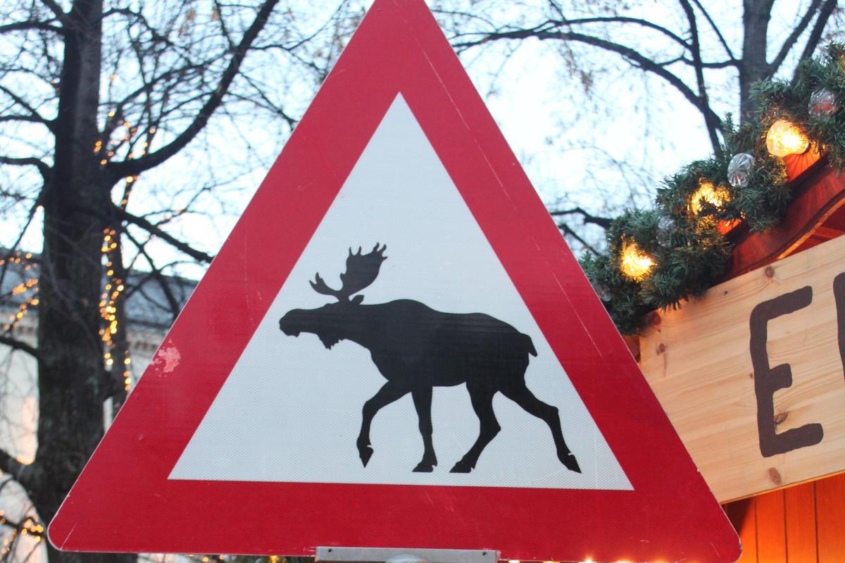 Oslo zimą nie takie straszne – zdjęcie 1