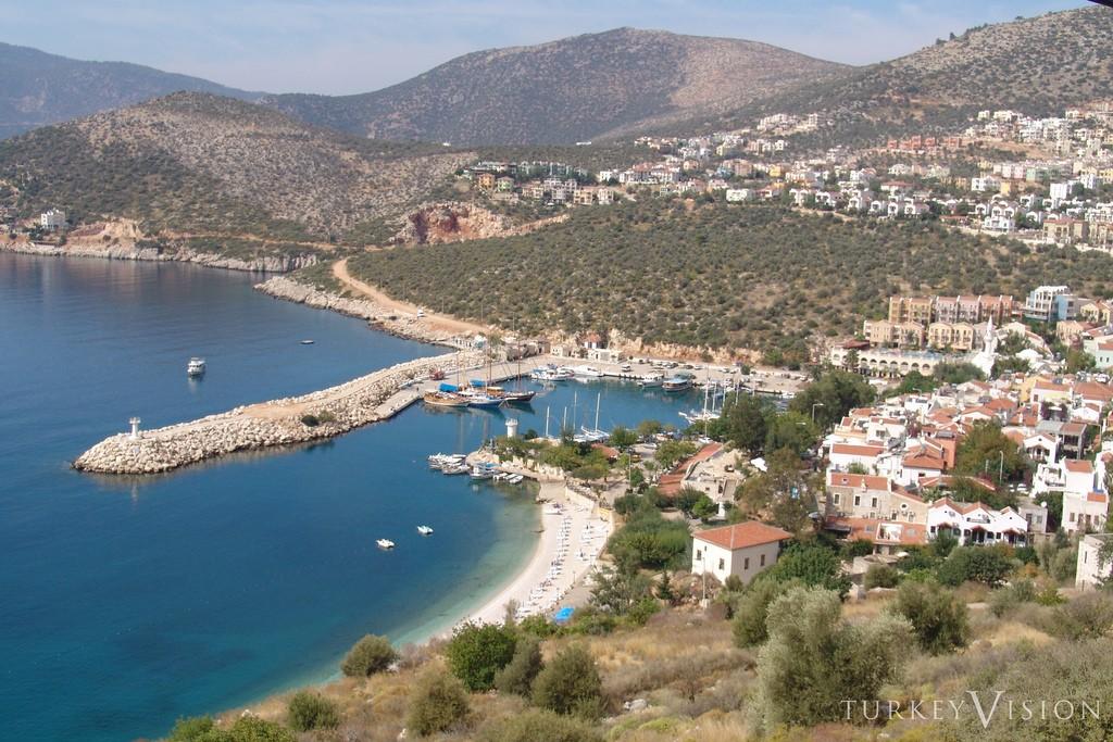 Ptasie demony Fethiye – zdjęcie 1