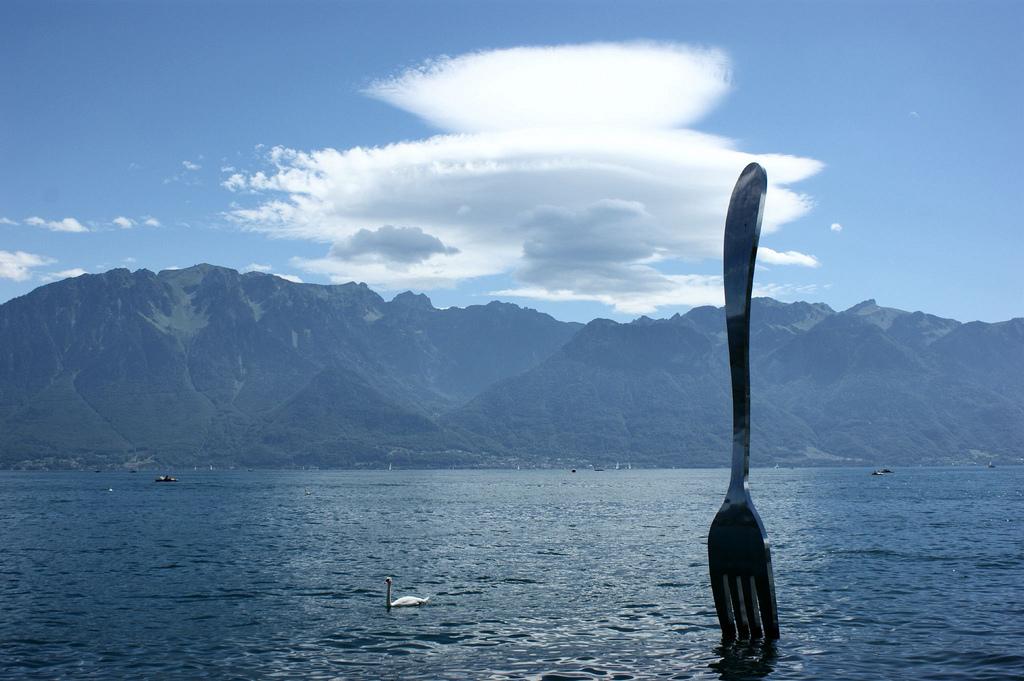 Fork in the water - Vevey – image 1