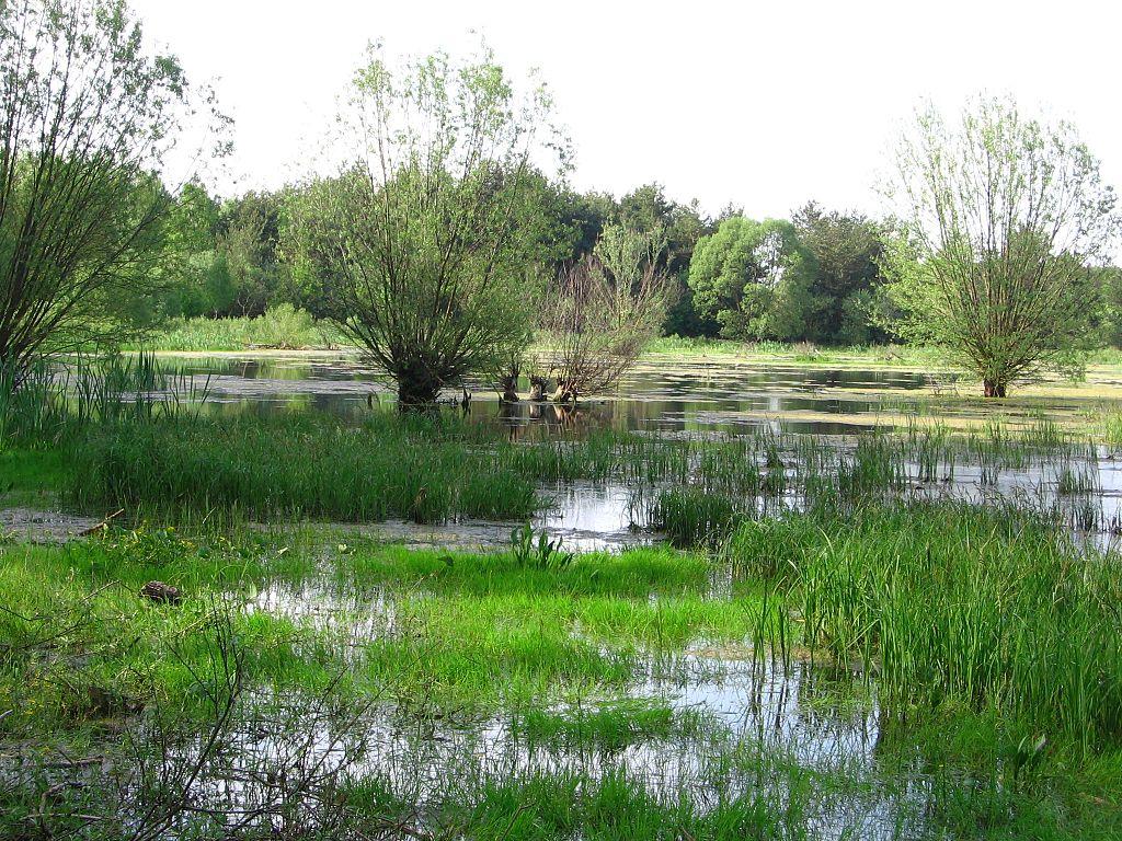 Majówka nad Niebieskimi Źródłami – zdjęcie 1