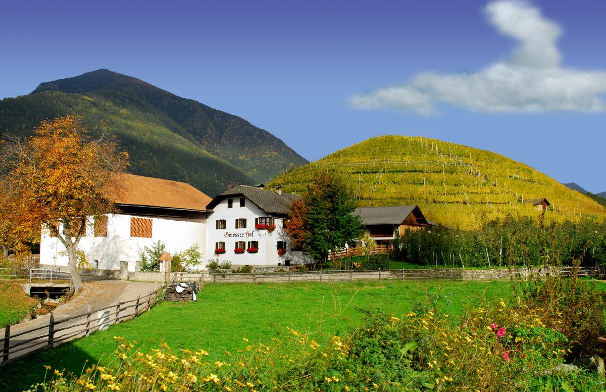 10 rzeczy, które pokochasz na farmach Roter Hahn – zdjęcie 1