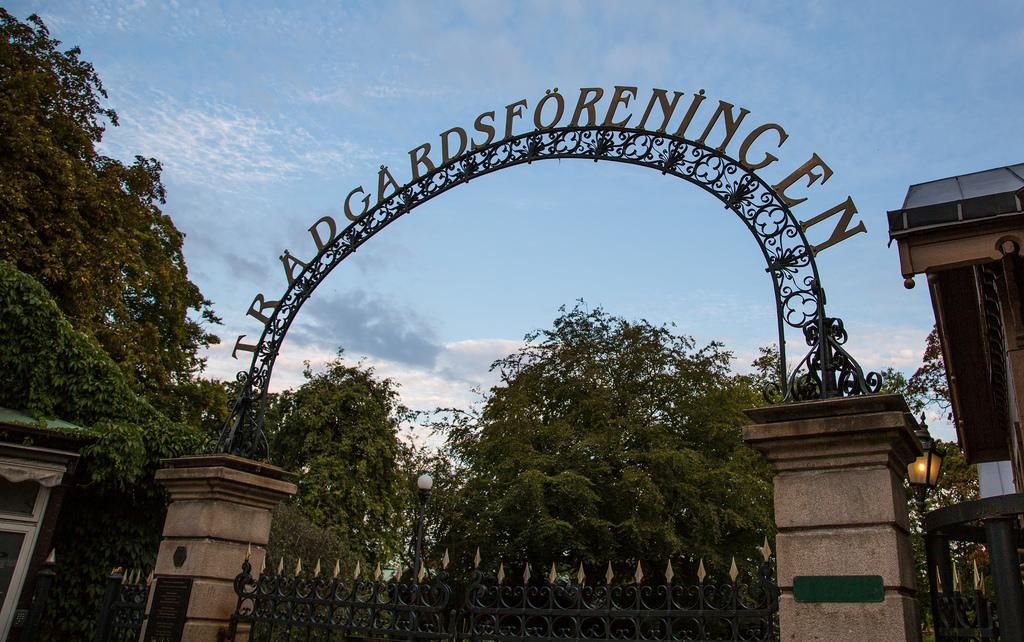 Trädgårdsföreningen roses – image 1