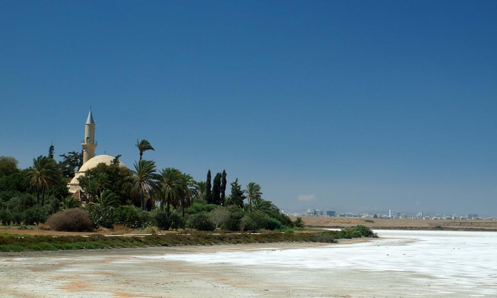 A mosque overlooking the flamingos – image 1