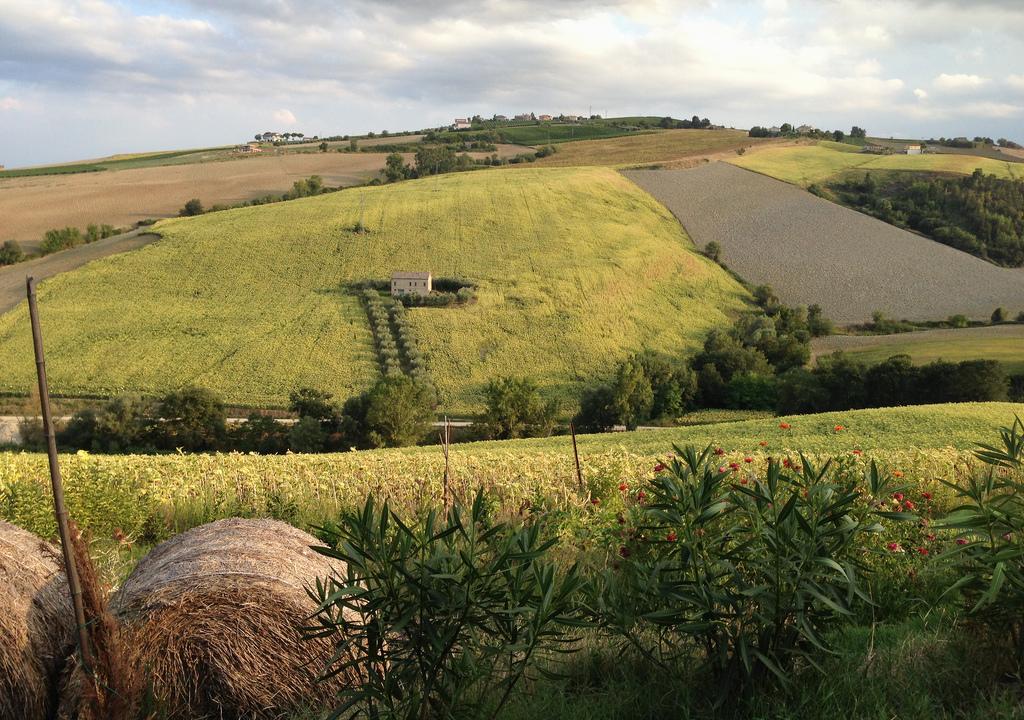 Marche - new Tuscany – image 1