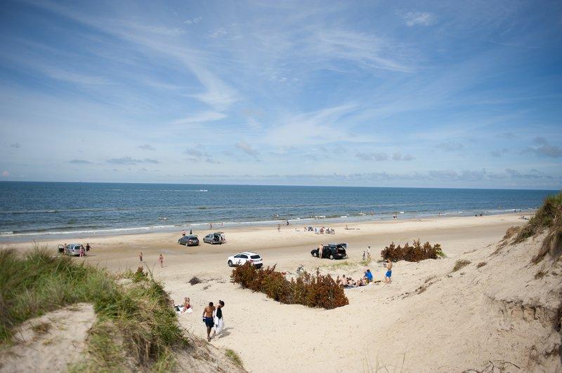 The sky of Danish eagles – image 1