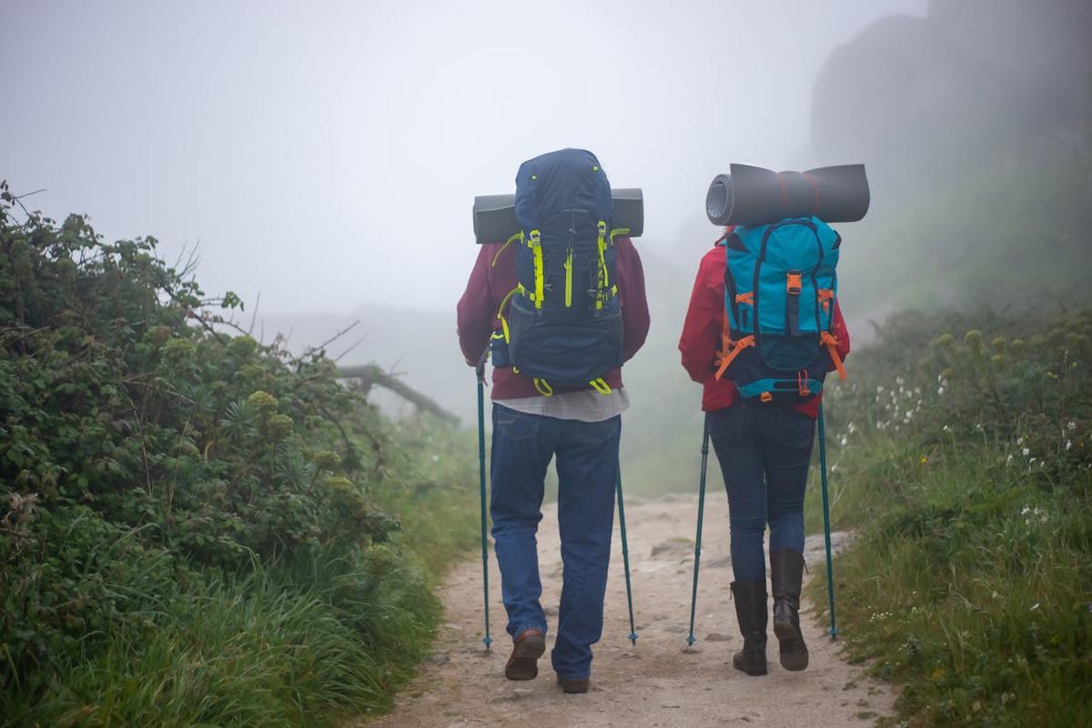 Trekking poles or Nordic walking poles – which choice is better for your activity? – image 1
