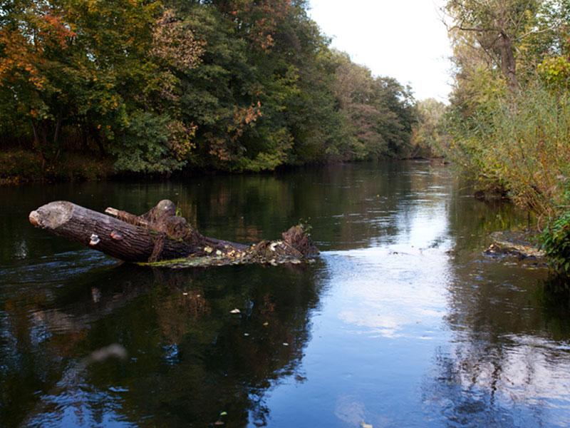 Kamper Park Bydgoszcz – zdjęcie 4