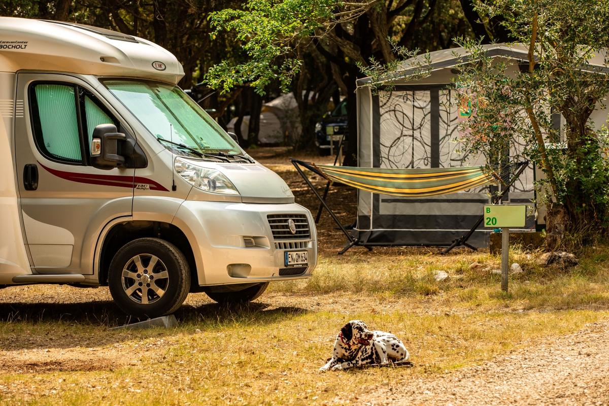 Tunarica Sunny Camping – zdjęcie 4