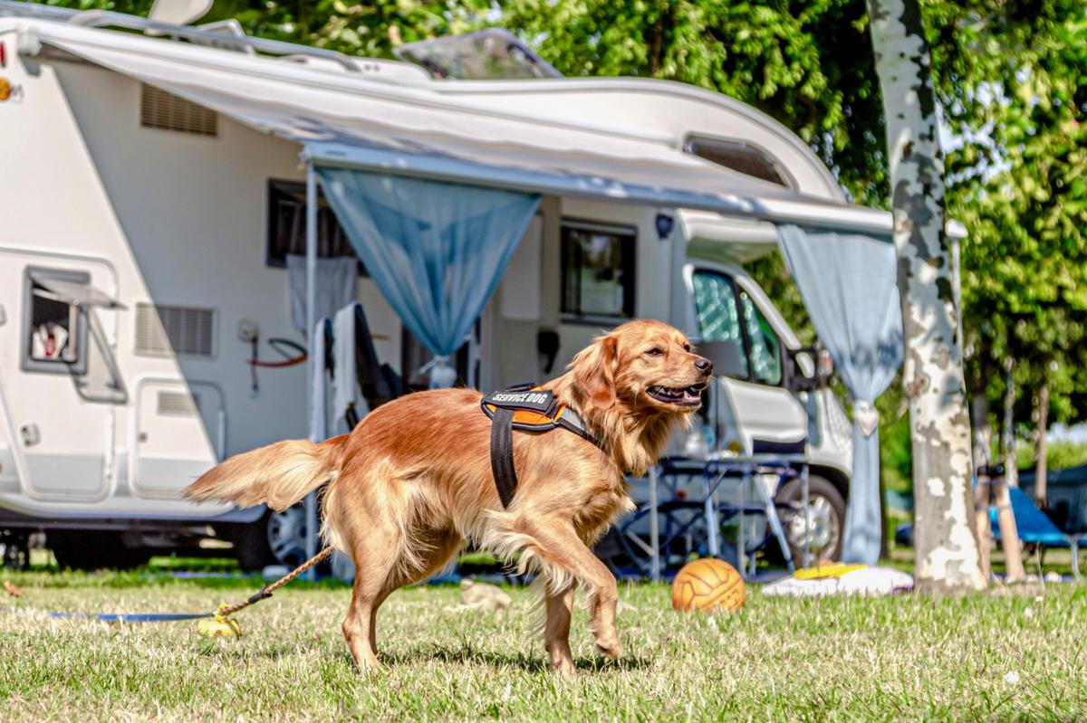 Miramare Camping Village – zdjęcie 2