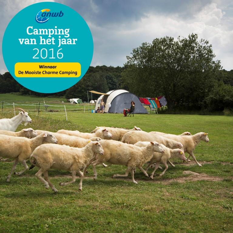 Farm & Camping Lazy – image 1