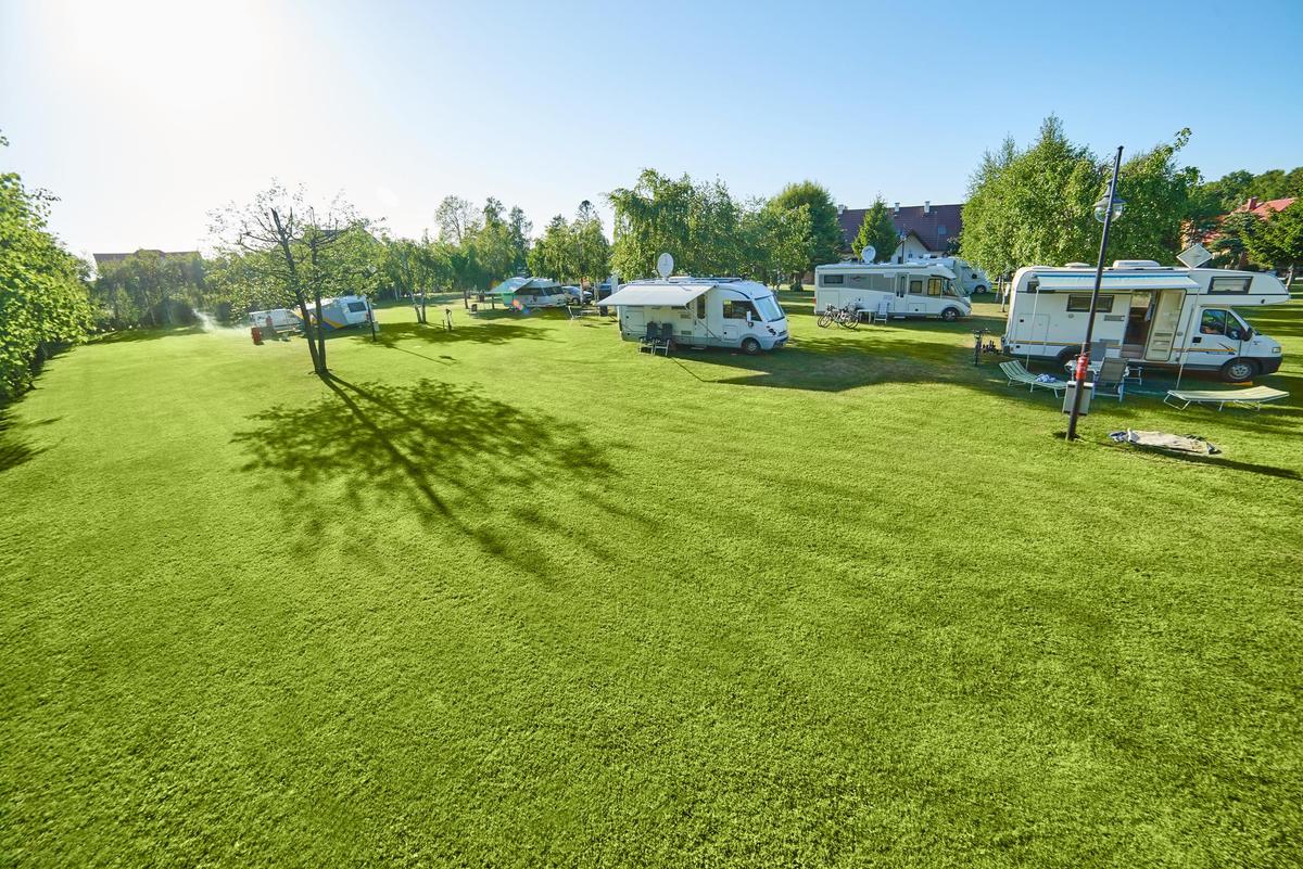 Camping Leśny 51 w Łebie – zdjęcie 4