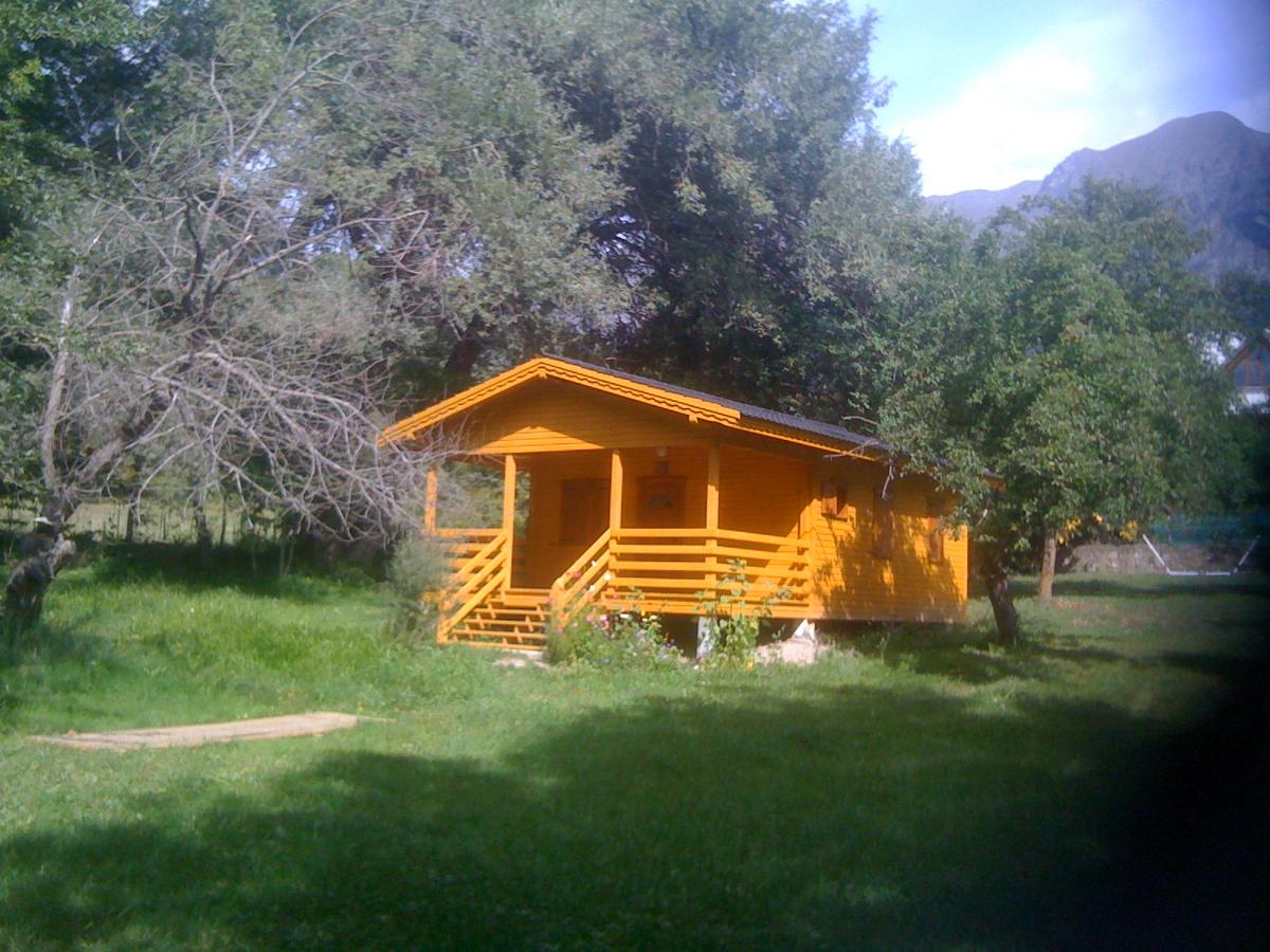 les Cariamas – image 1