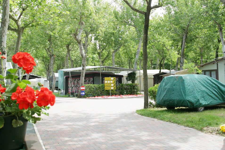 Camping Oasi – image 4