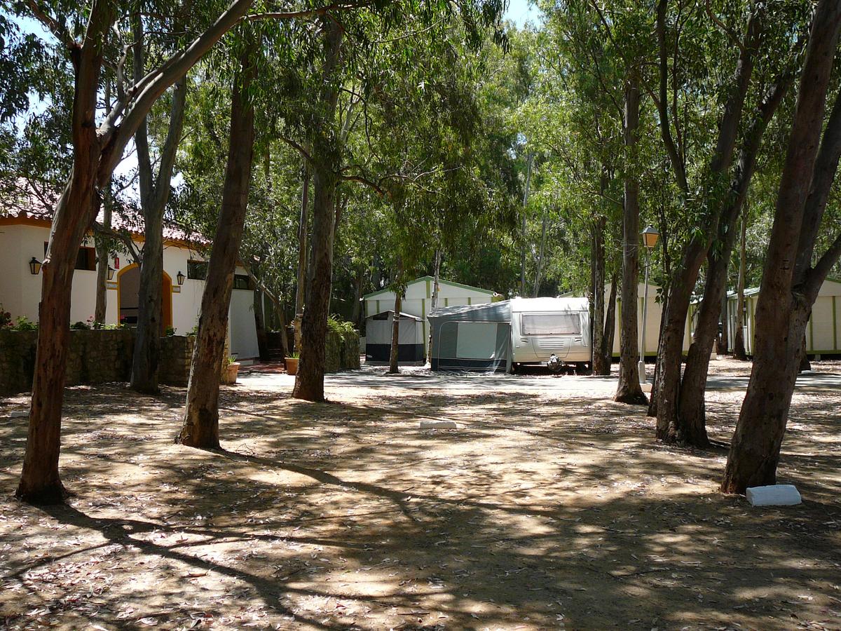 Camping los Eucaliptos – zdjęcie 3