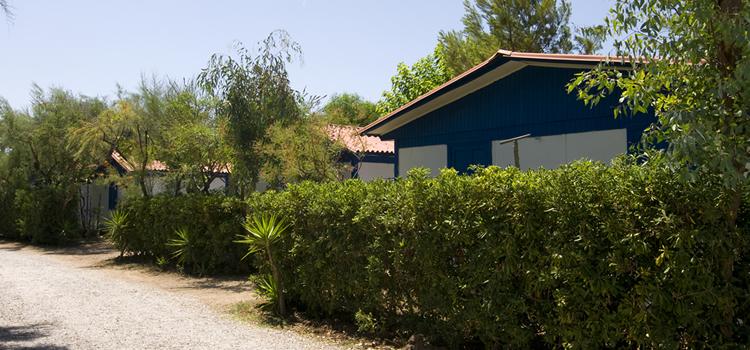 Camping Villaggio dei Pini – zdjęcie 4