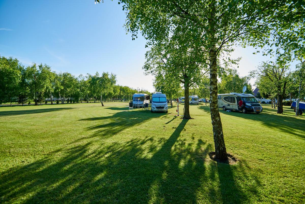 Camping Leśny 51 w Łebie – zdjęcie 3