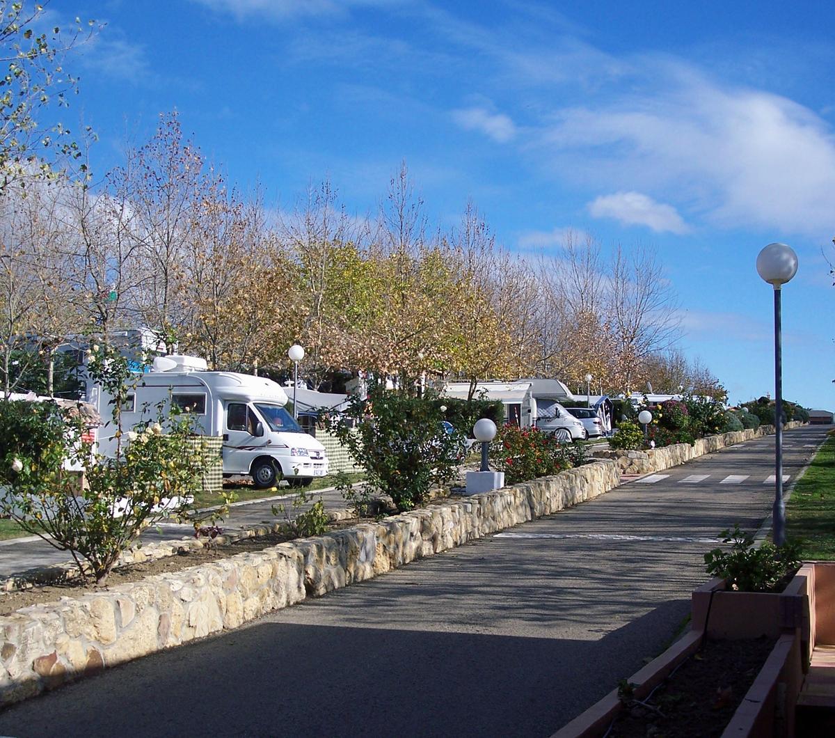 Camping La Rosaleda - Conil - Cádiz - Andalucía - España – image 2