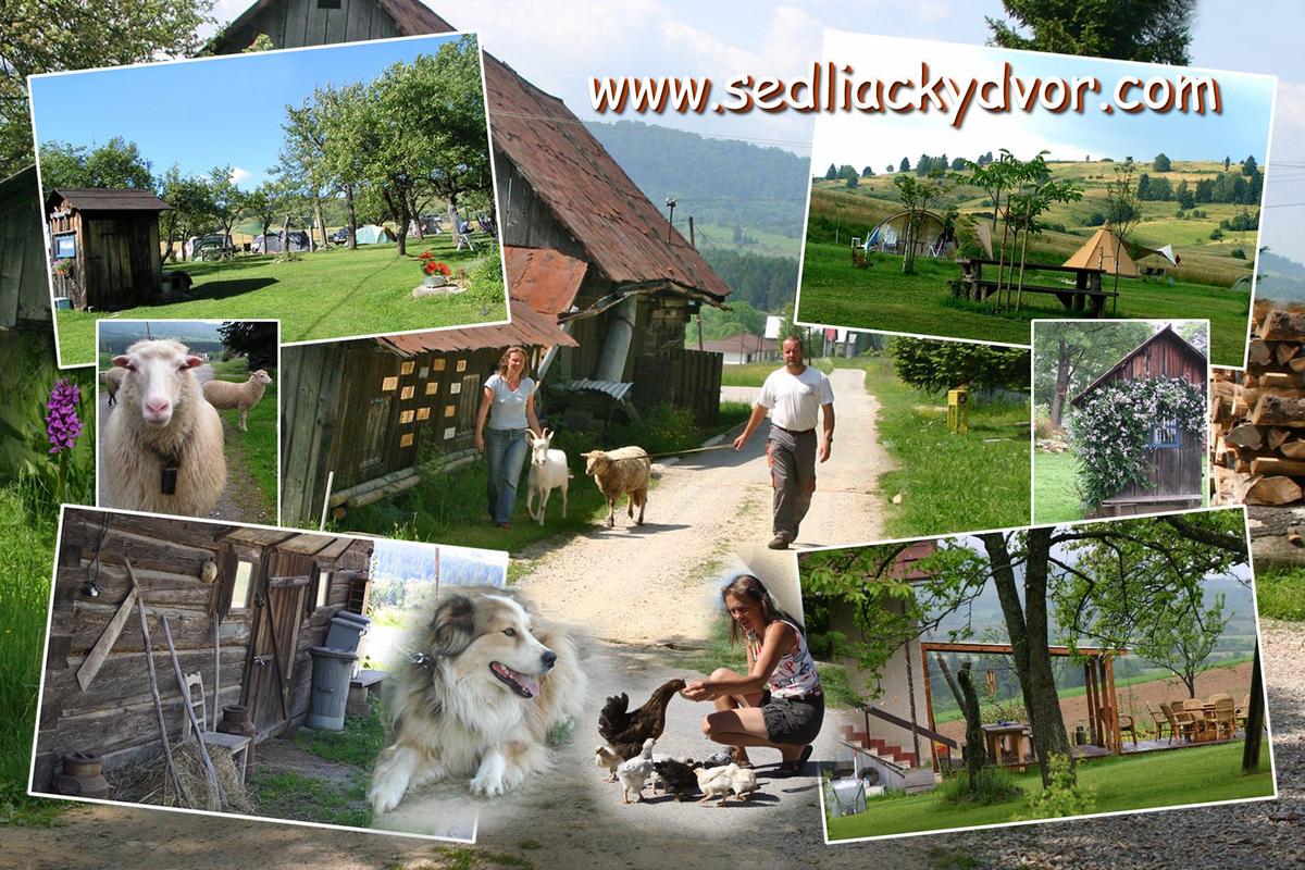 Camping Sedliacky Dvor – image 2