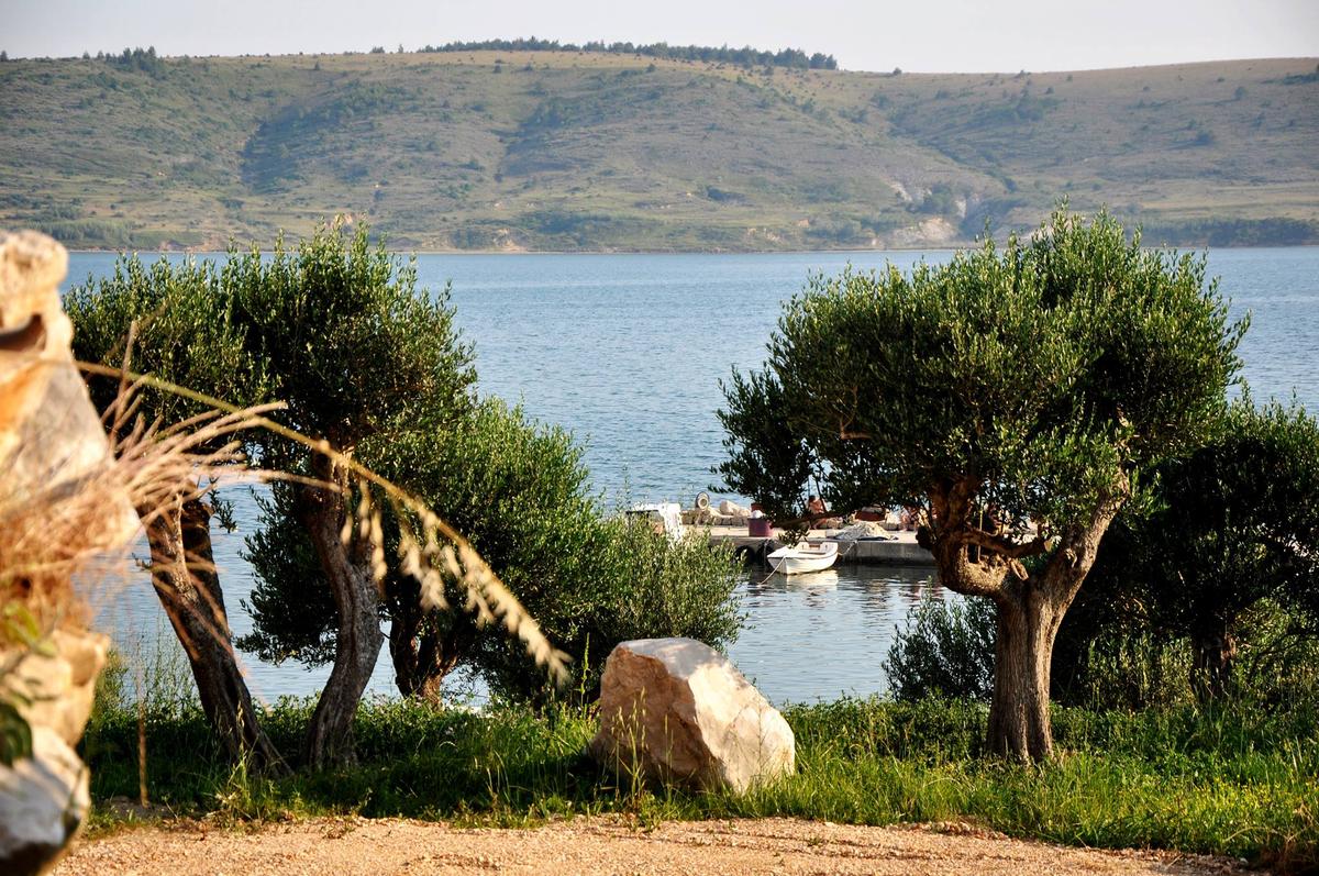 Camp Miočić – image 2