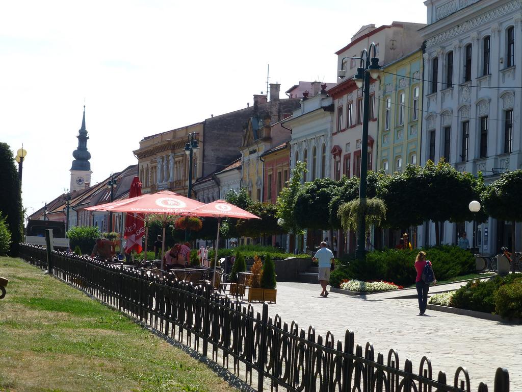 Węgierska jesień winem pachnąca – zdjęcie 2