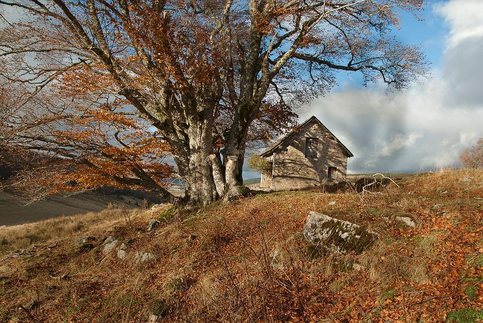 Cień bestii w Lozère – zdjęcie 3