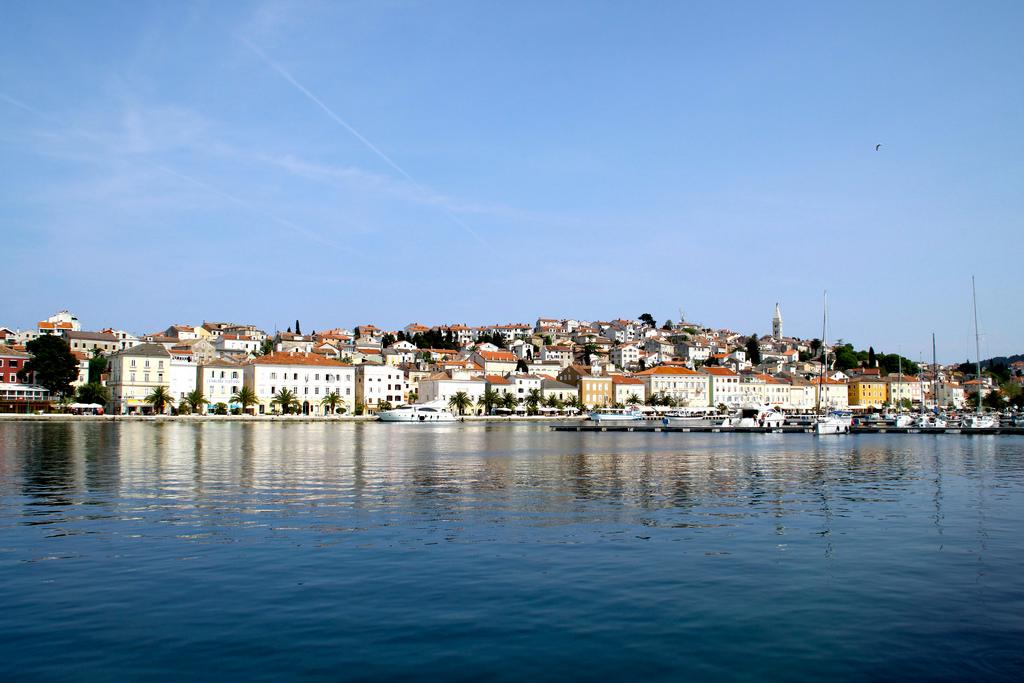 The smile of a dolphin in Mali Lošinj – image 2