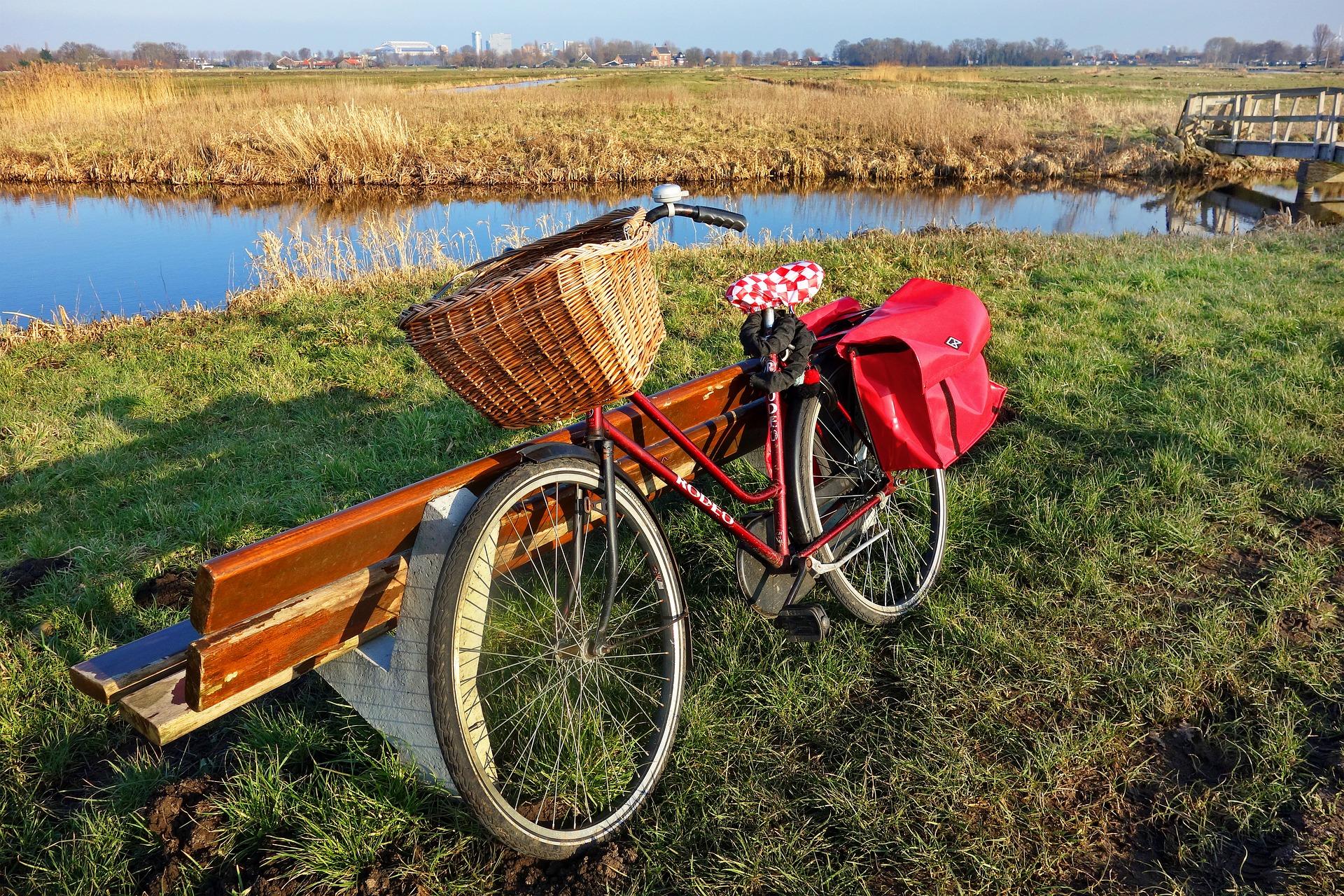 Active recreation in Bory Tucholskie – image 2