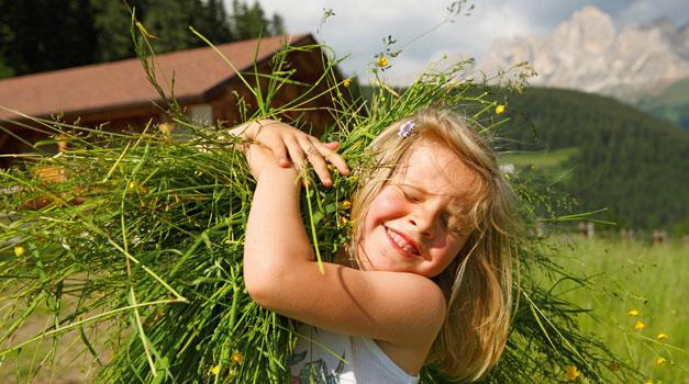 10 things you&#39;ll love about Roter Hahn farms – image 2