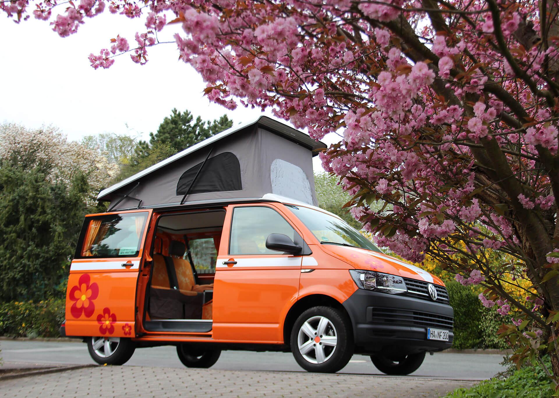 FlowCamper - flower children in the 21st century – image 2