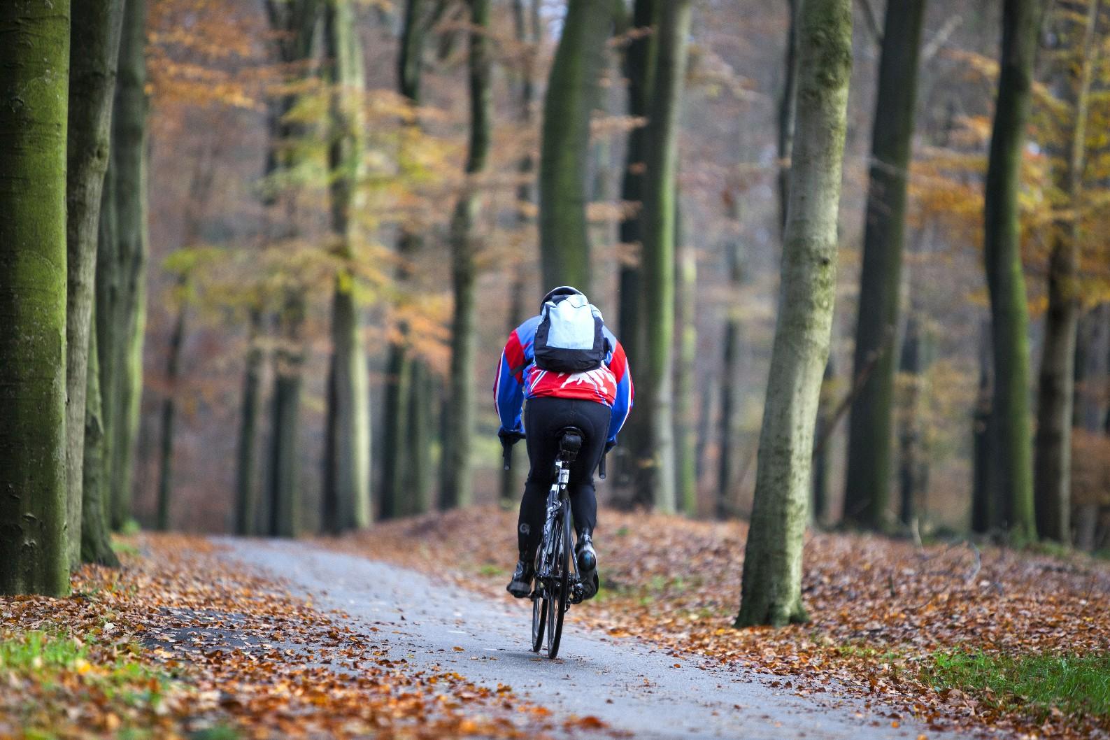 Jedź bezpiecznie – jesienne wyprawy rowerowe – zdjęcie 4