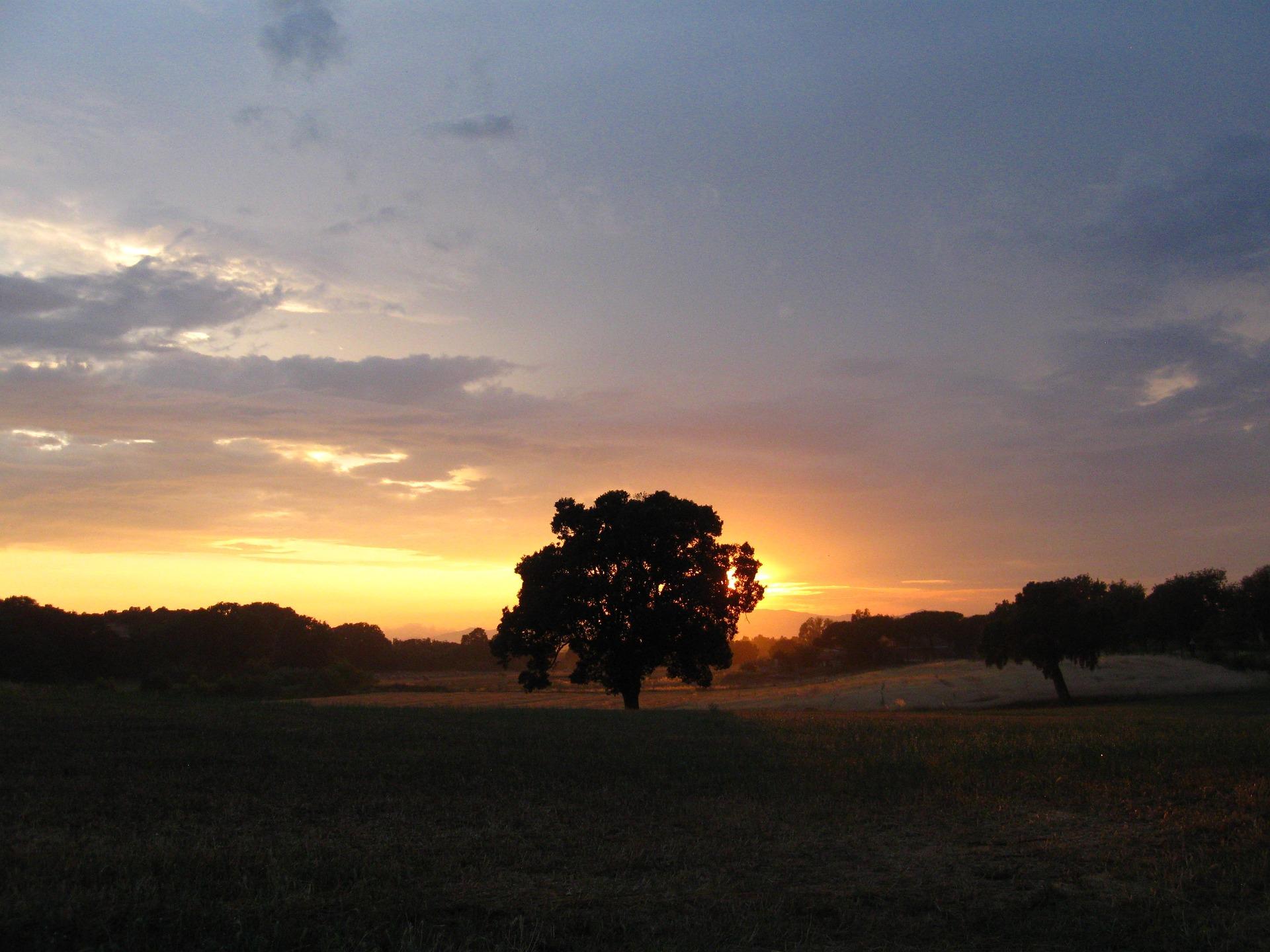 The charms of the Italian Maremma region – image 4