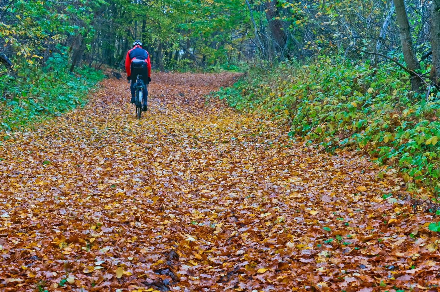 Jedź bezpiecznie – jesienne wyprawy rowerowe – zdjęcie 1