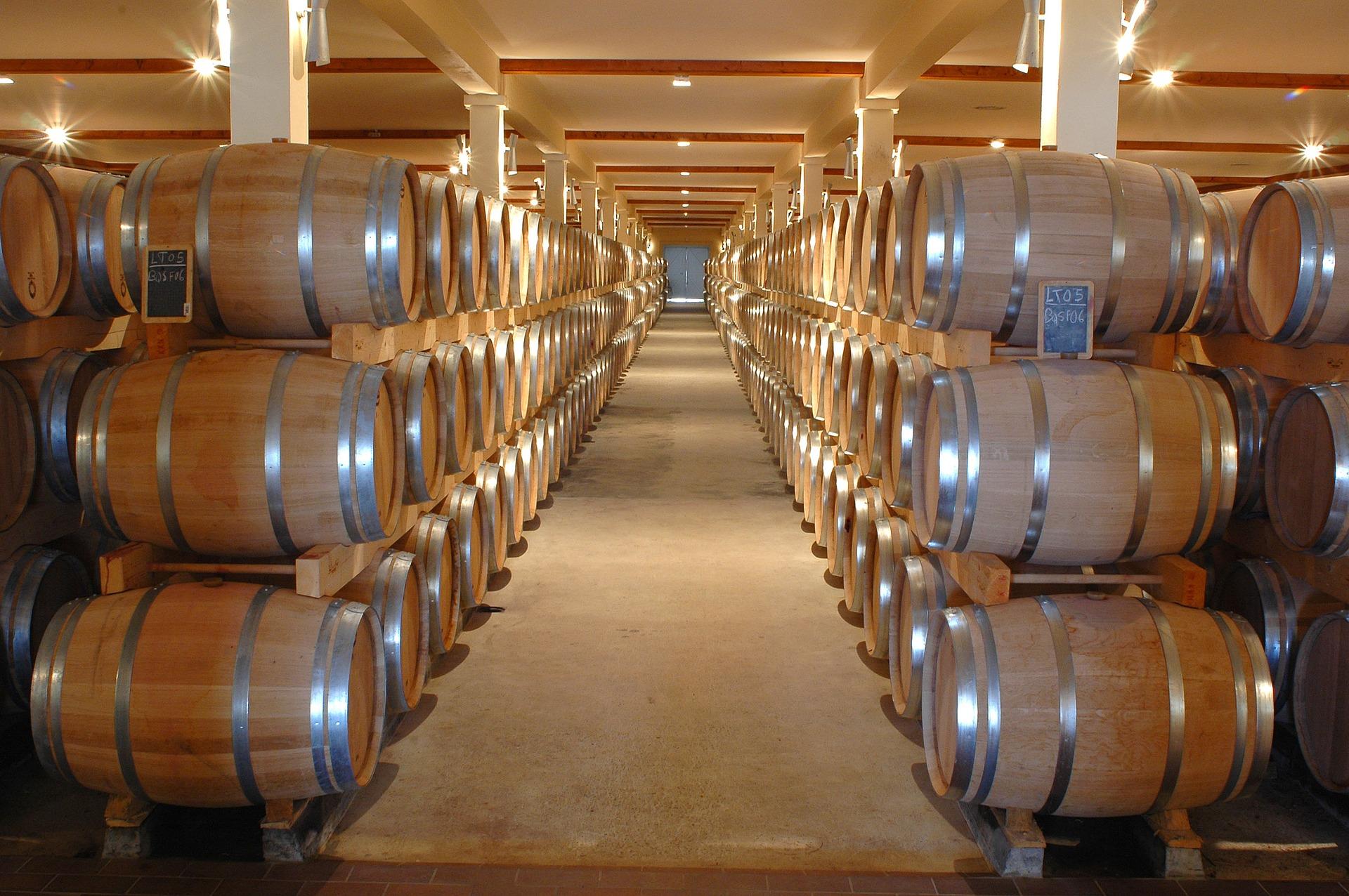 Maremma wine routes – image 4