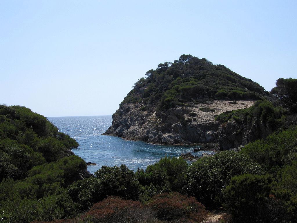 French crescent - Île de Porquerolles – image 4