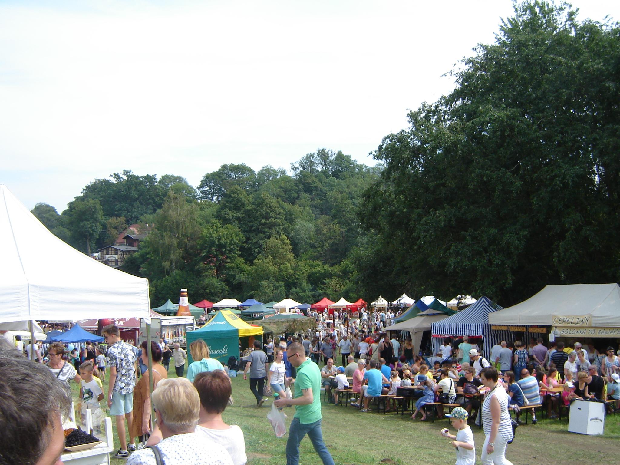 Festiwal Smaku w Grucznie 2016 – zdjęcie 2