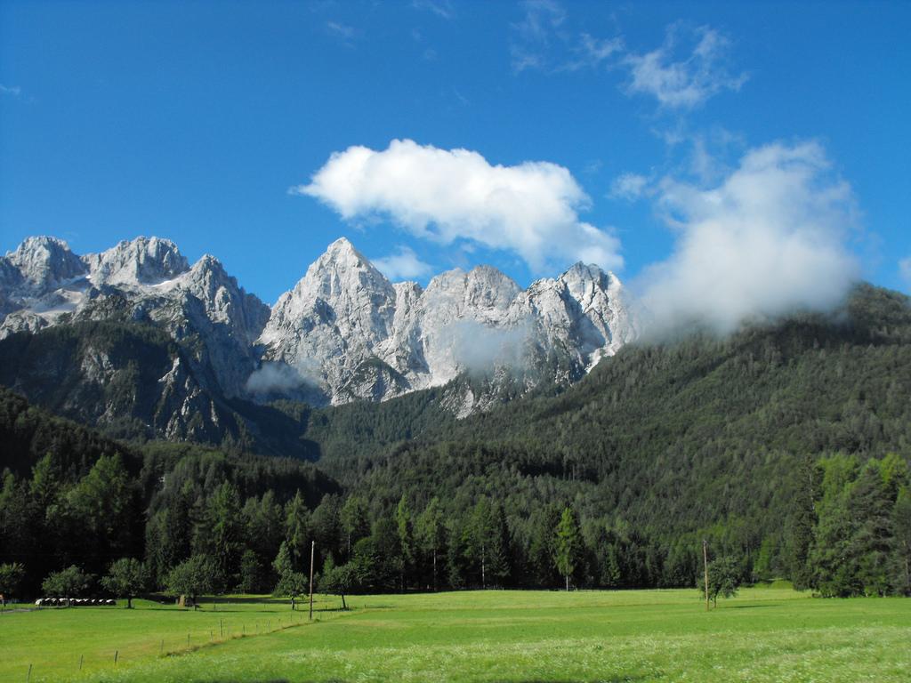 W cieniu alpejskiego kryształu - Planica – zdjęcie 3