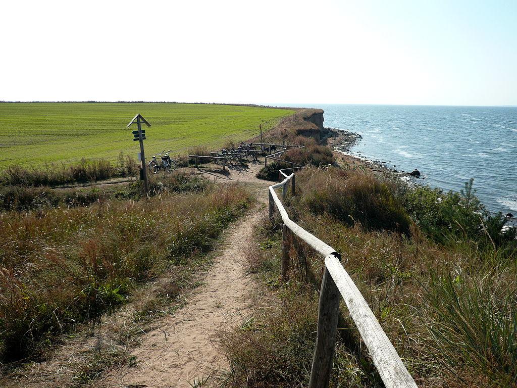 The Holy Land - Rugen – image 3